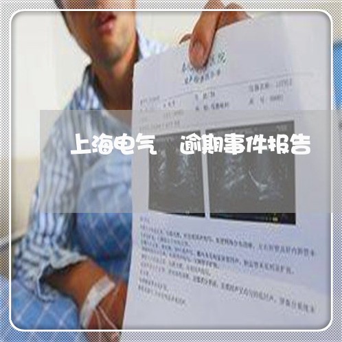上海电气 逾期事件报告 上海电气 逾期事件报告